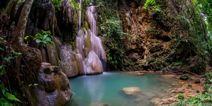 Chiang mai.webp